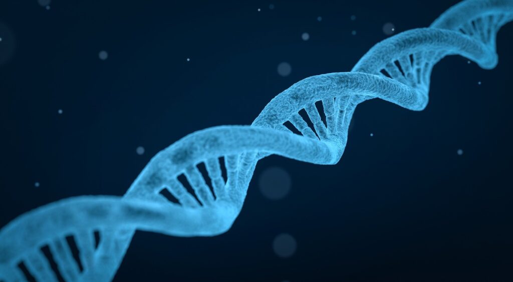 dna double helix